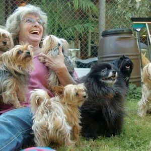 Meet your Posher, Dotty